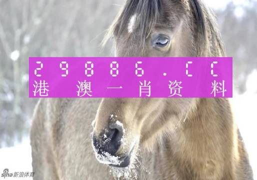 澳門一肖一碼100%期期精準(zhǔn)_98期,定性評(píng)估說明_5DM10.813