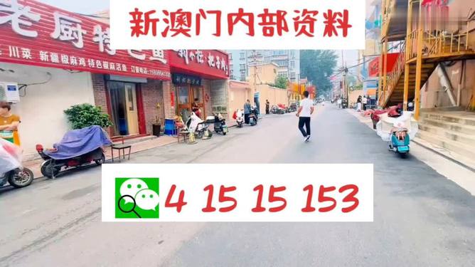 2024澳門天天開好彩大全162,數(shù)據(jù)資料解釋落實(shí)_模擬版20.825