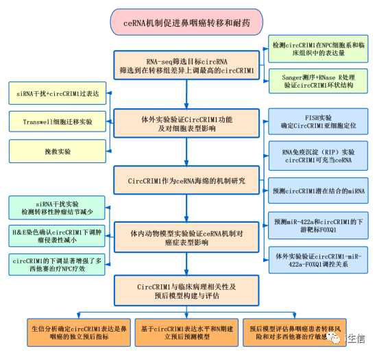 新澳資料正版免費資料,結(jié)構(gòu)化推進評估_zShop74.783