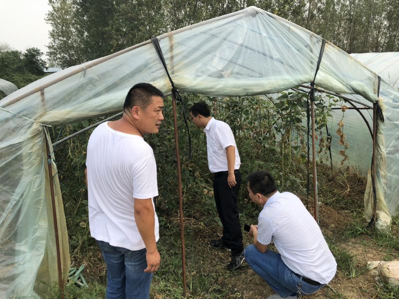 謝家集區(qū)水利局推動水利建設(shè)與發(fā)展，為民造福，最新動態(tài)報道