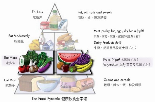 最新膳食寶塔引領健康飲食潮流